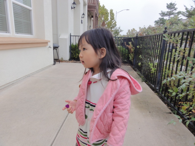 DSC04526.JPG