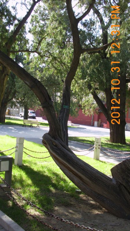DSCI8253.JPG