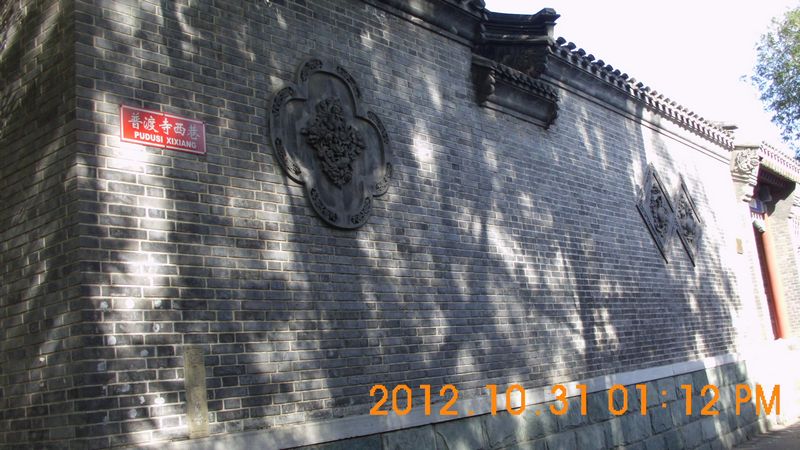 DSCI8273.JPG