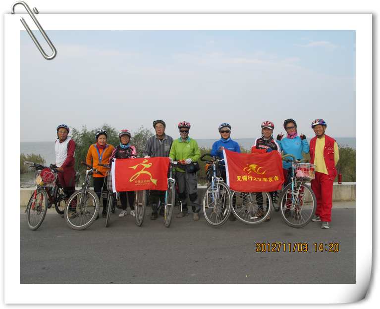 全阵容.jpg