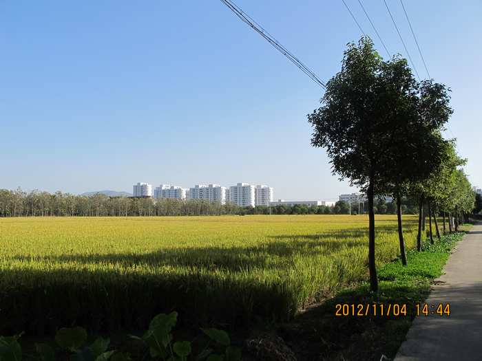 野景3.jpg