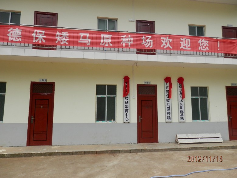 矮马场