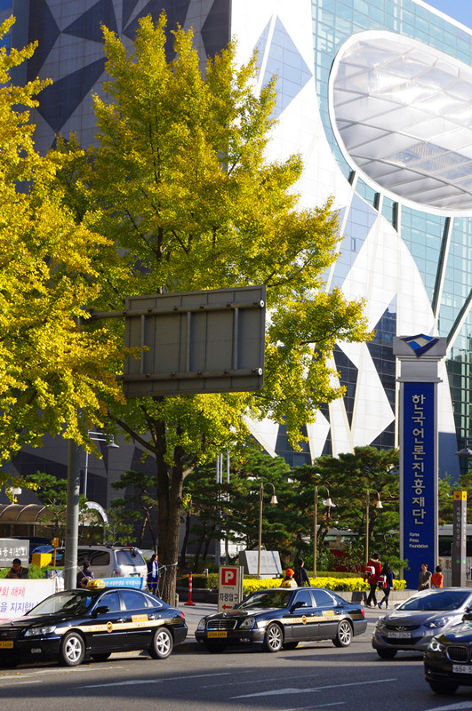 IMGP0069_副本.jpg