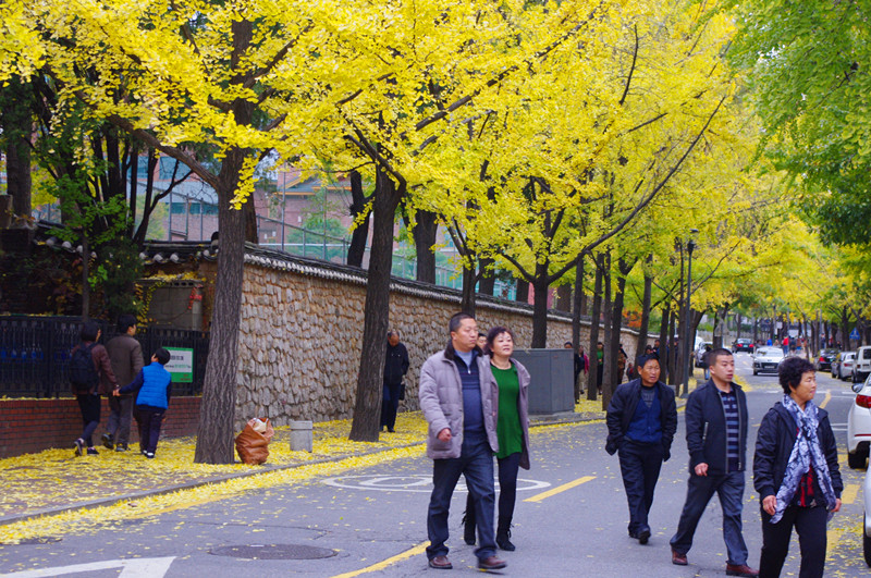 IMGP0252_副本.jpg