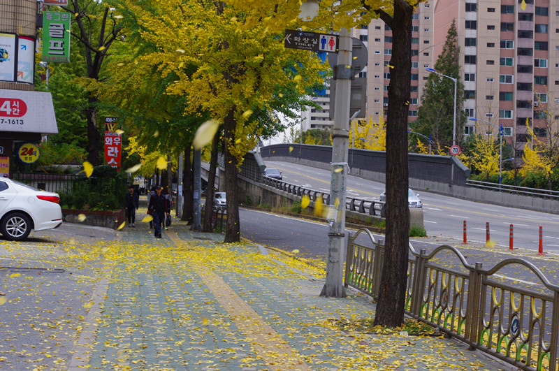 IMGP0228_副本.jpg