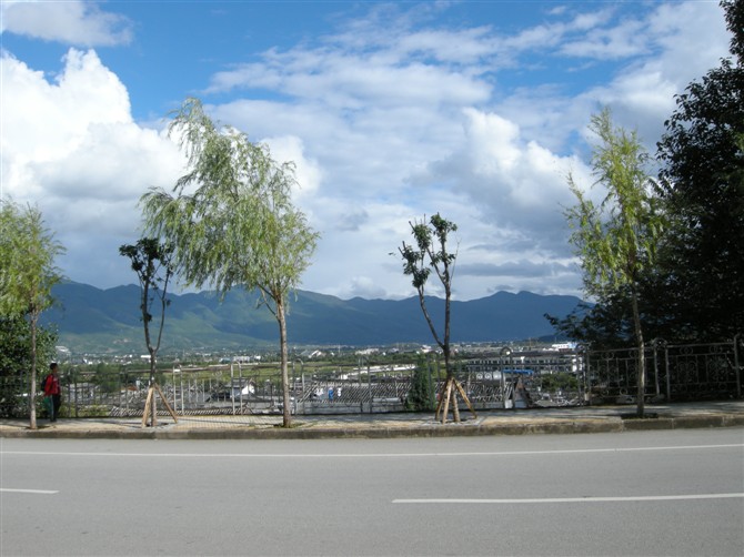家里离公路边