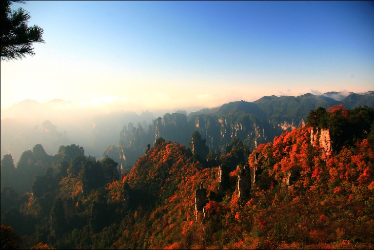天子山8888.jpg