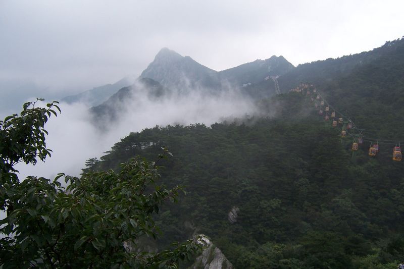 照片 469.jpg