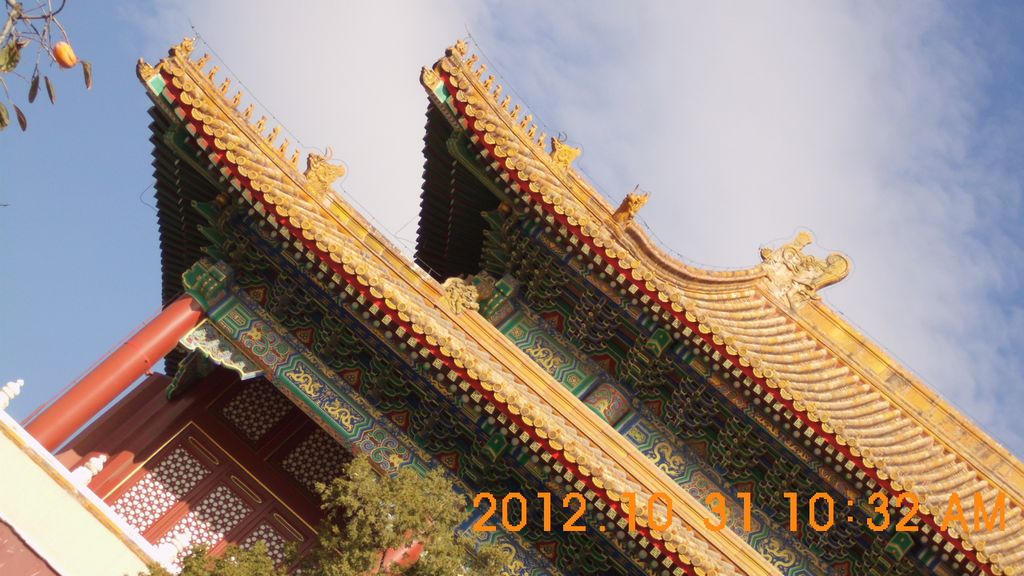 DSCI8226.JPG