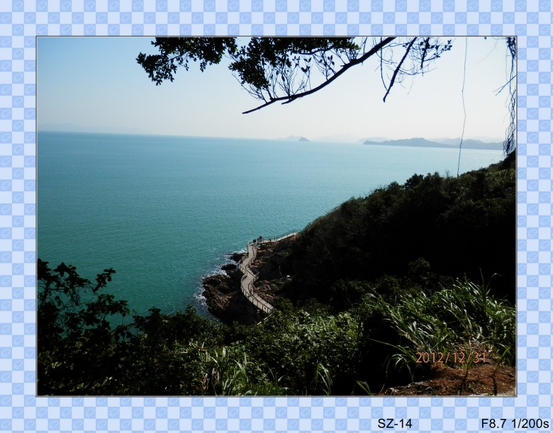 PC311488_conew1.jpg