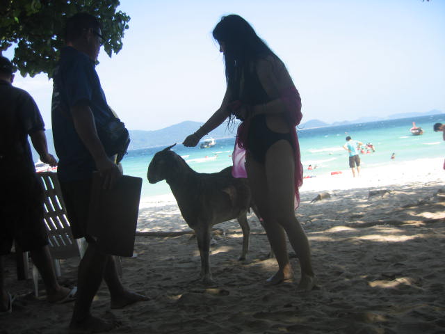 IMG_0501.JPG