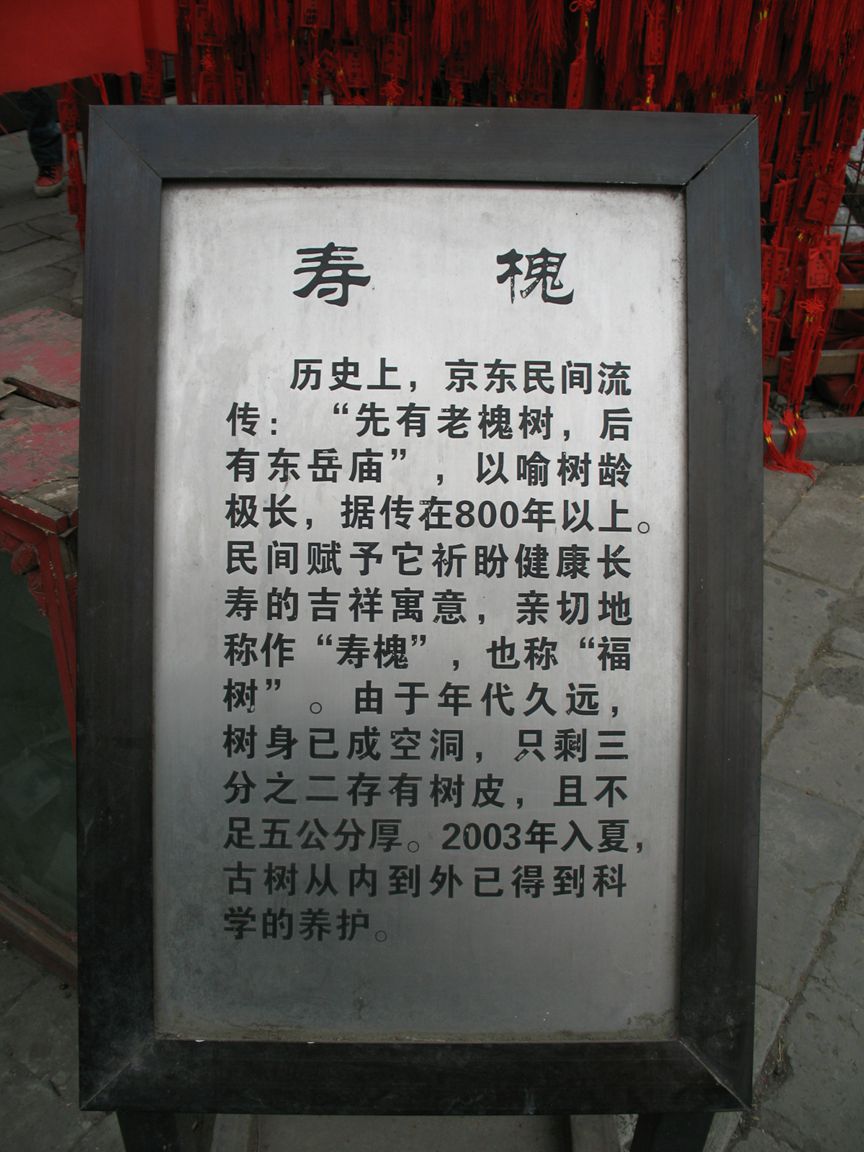 IMG_3535.JPG