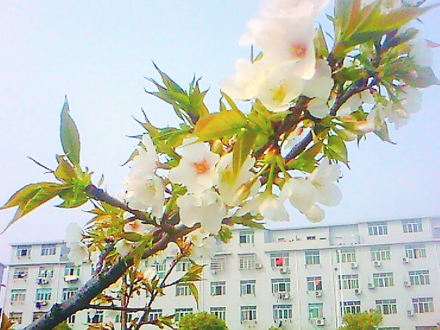 IMG038.jpg