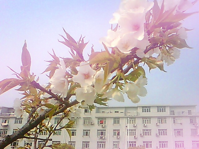IMG0383.jpg