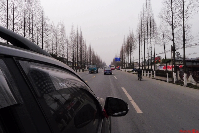 P1020415.jpg