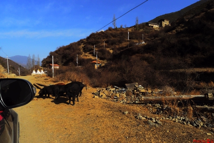 P1020618.jpg