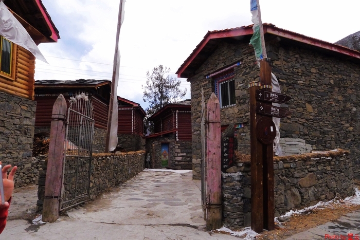 P1020631.jpg