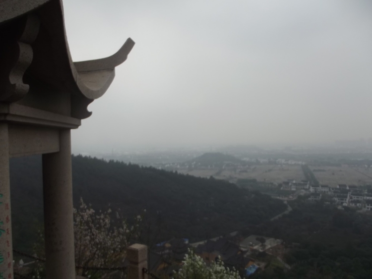 DSCF5782.jpg