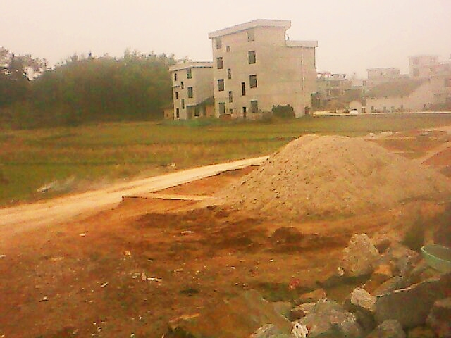 IMG0339A.jpg