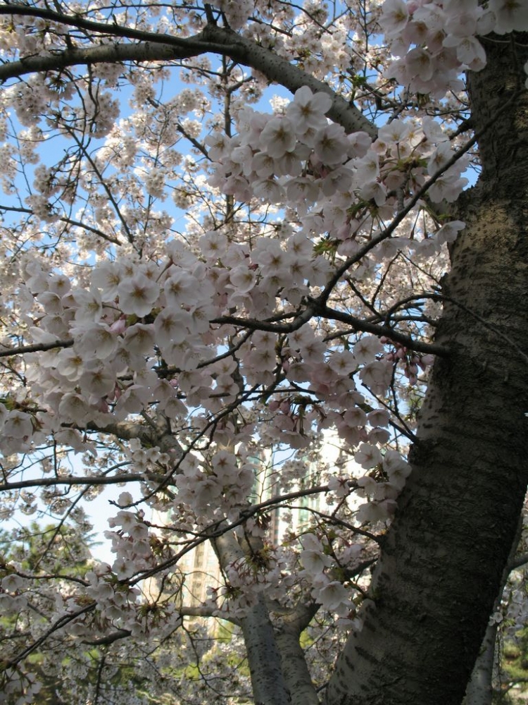 IMG_5162.JPG