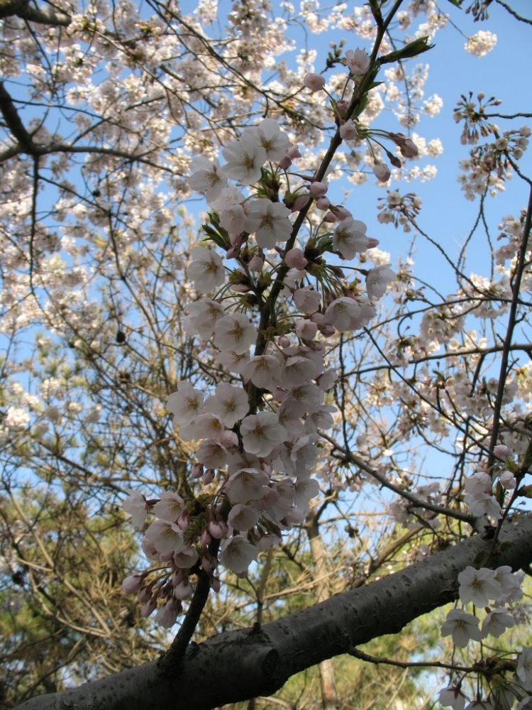 IMG_5165.JPG