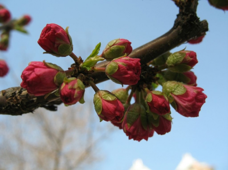 IMG_5258.JPG