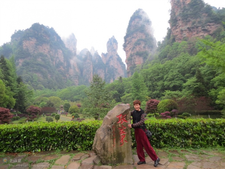 照片 190.jpg