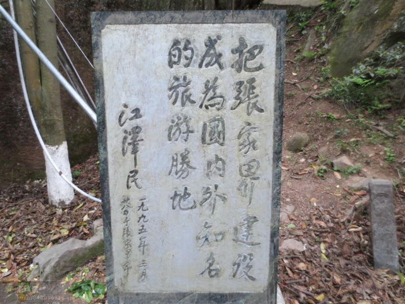 照片 175.jpg