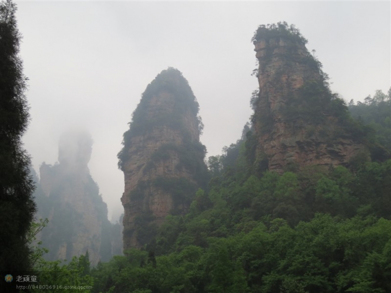 照片 181.jpg