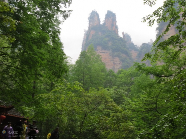 照片 191.jpg