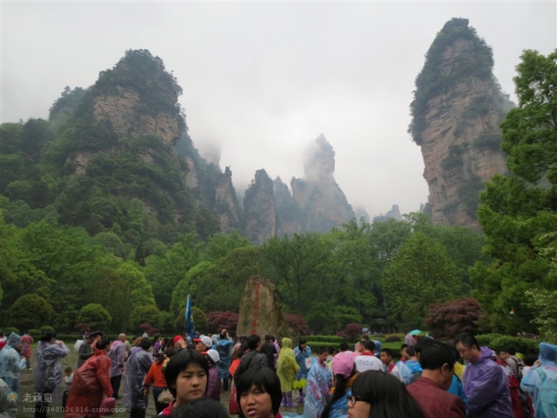 照片 233.jpg