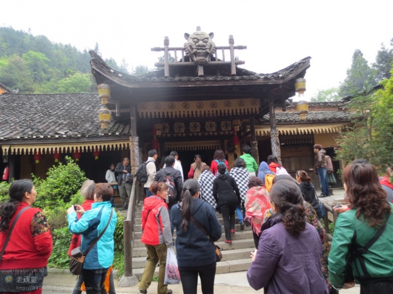 照片 237.jpg