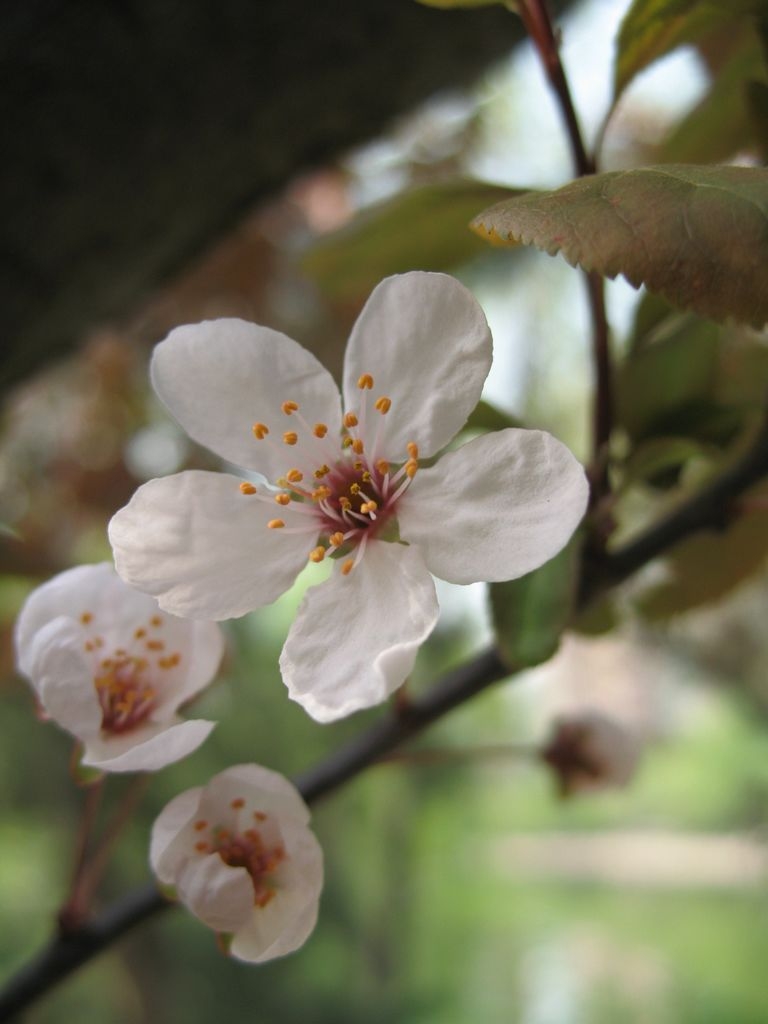 IMG_5918.JPG