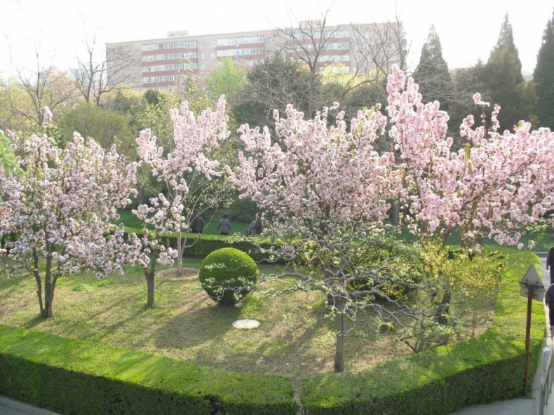 IMG_5795.JPG