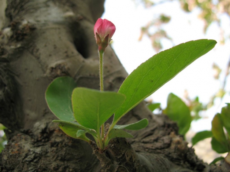IMG_5740.JPG