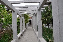 图片7. jpg.jpg