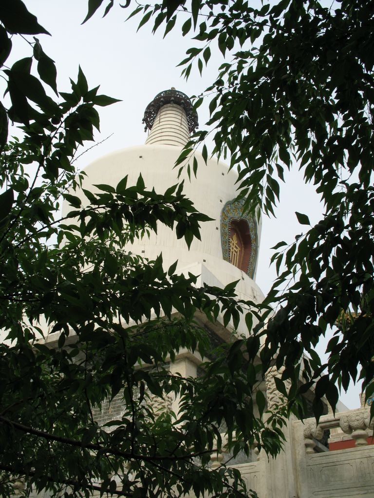 IMG_6479.JPG