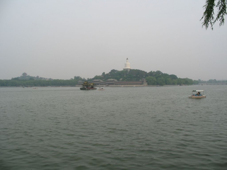 IMG_6565.JPG