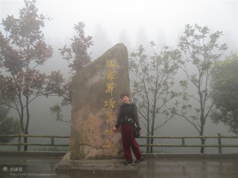 照片 387.jpg
