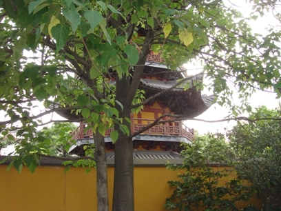 DSC01067.jpg