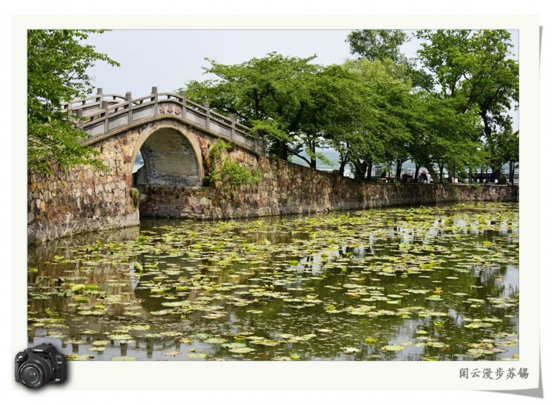 漫步太湖6.jpg