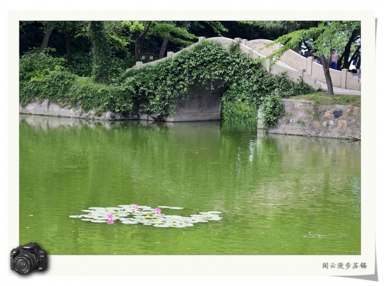 漫步太湖7.jpg