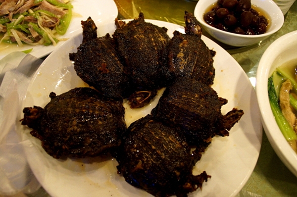 DSC08945_副本.jpg