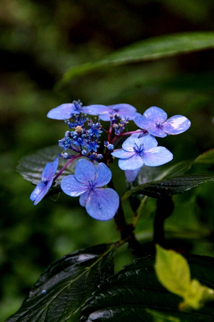 DSC09007_副本.jpg