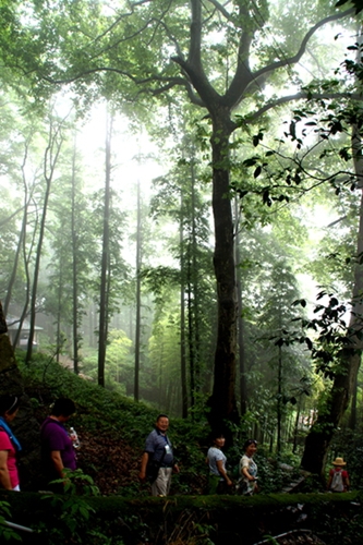 DSC09064_副本.jpg