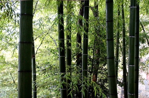 DSC09072_副本.jpg