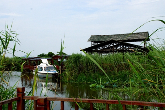 DSC08553_副本.jpg