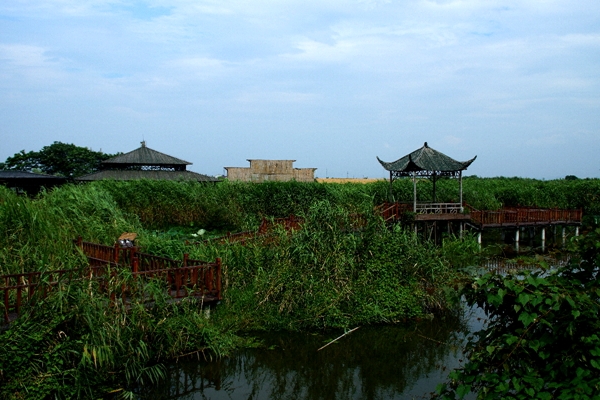 DSC08558_副本.jpg