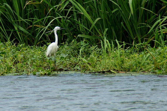 DSC08576_副本.jpg