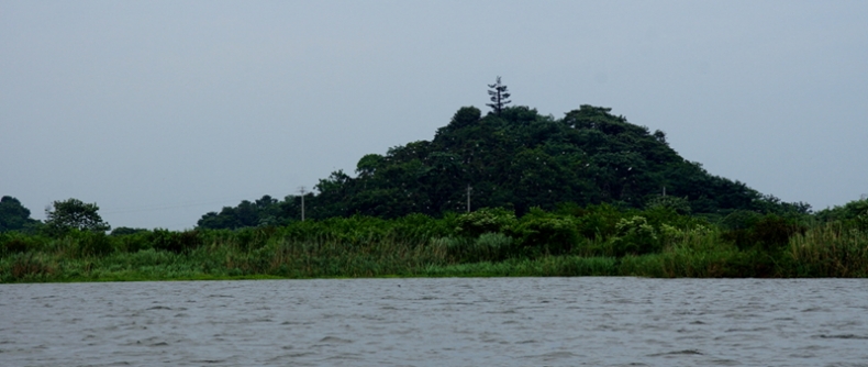 DSC08591_副本.jpg